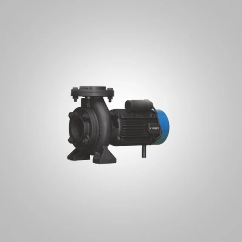 Pompe Surface Snbci 50-160 11KW/15CV Shakti